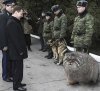medved_manul.jpg