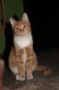 IMG_8190__792_x_1188_.jpg
