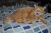 DSC_0681__550_x_365_11.jpg
