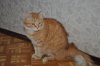 DSC_0711__550_x_365_11.jpg