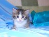 DSC_0280__765_x_594_.jpg